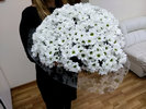  1.       , . florist.com.ua